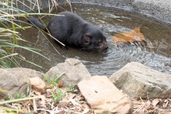 Was zum trinken gut ist, taugt auch zum Baden