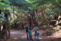 Mount Field Nationalpark