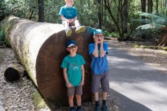 Mount Field Nationalpark