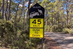 ... oder das Auto umstossen