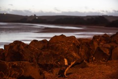 Das wird nichts mit fliegen