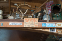 Lost Gypsy Gallery Papatowai