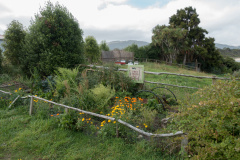 Gemüse zum Mitnehmen