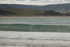 Hector Delfine in Curio Bay