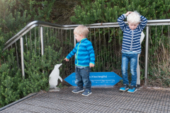 So einen wollen wir sehen