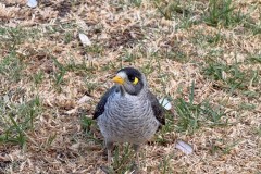 Abseits-der-ausgetretenen-Pfade-001