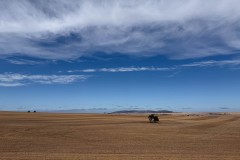 Abseits-der-ausgetretenen-Pfade-002