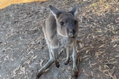 Abseits-der-ausgetretenen-Pfade-041