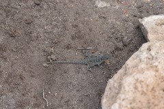 Abseits-der-ausgetretenen-Pfade-046