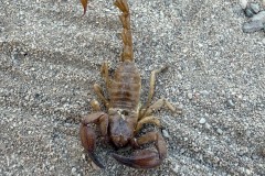 Abseits-der-ausgetretenen-Pfade-068