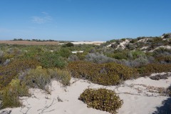 Abseits-der-ausgetretenen-Pfade-070