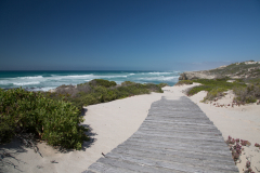 Strand im De Hoop