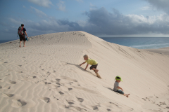 Hoch und runter ... immer wieder