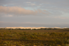 Dünen im Abendlicht