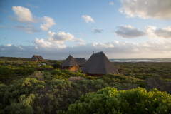 Agulhas Restcamp im Abendlicht