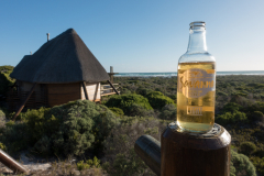 Kein Südafrika Urlaub ohne Savanna