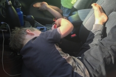 Paul spielt zu gern im Auto