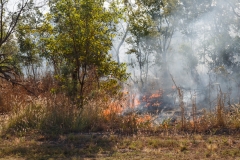 Direkt neben der Strasse - Burn Off, ganz normal zu dieser Jahreszeit