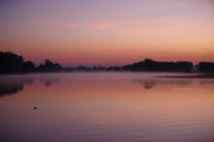 Morgenstimmung in Yellow Water