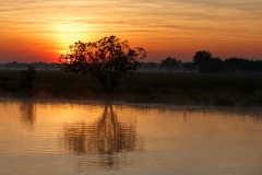 Sonnenaufgang Yellow Water