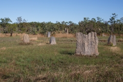 Magnetic Termite Mounds
