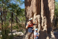 Cathedral Termite Mounds