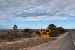 Nullarbor-008