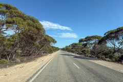 Nullarbor-010