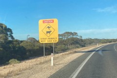 Nullarbor-049
