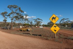 Nullarbor-069