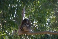 So möchte ich auch schlafen können