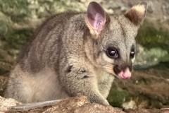 Auf-nach-Suedaustralien-003