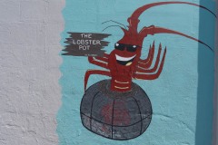 Auf-nach-Suedaustralien-018