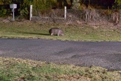 Auf-nach-Suedaustralien-029