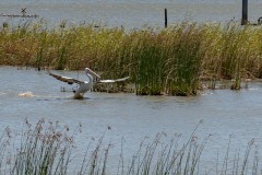 Auf-nach-Suedaustralien-035