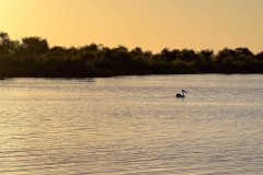 Auf-nach-Suedaustralien-039