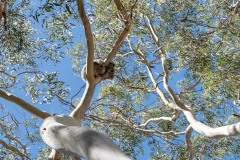 Auf-nach-Suedaustralien-046