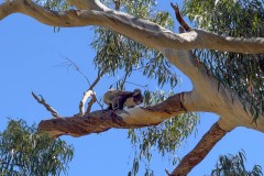 Auf-nach-Suedaustralien-047