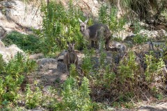 Auf-nach-Suedaustralien-050