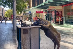 Auf-nach-Suedaustralien-058