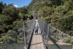 Karangahake Gorge - Hängebrücke