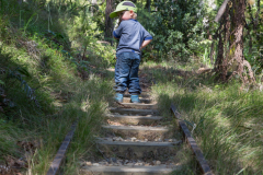 Da kann man sogar im Eiltempo den Hügel hoch