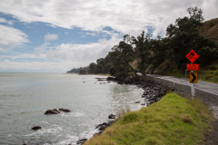 Küstenstrasse von Thames nach Coromandel Town