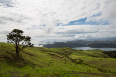 Coromandel Lookout - Manaia Harbour