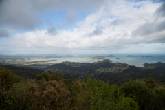 Coromandel Lookout