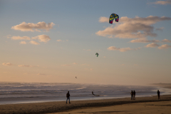 Kitesurfer am Muriwai Beach