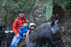 alle wollen aufs Pferd