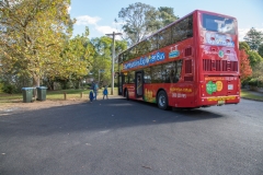 Blue Mountains Explorer Bus