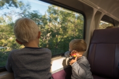 Zugfahrt in die Blue Mountains