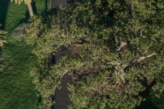 Blick hinab von der Brücke